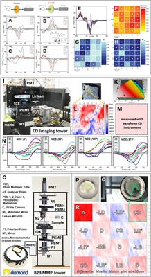 CD Imaging at High Spatial Resolution at Diamond B23 Beamline: Evolution and Applications